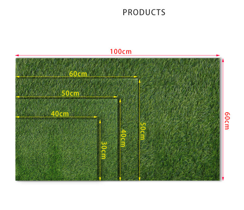 Pet Lawn Mat Dog Floor Mat Fixed Point