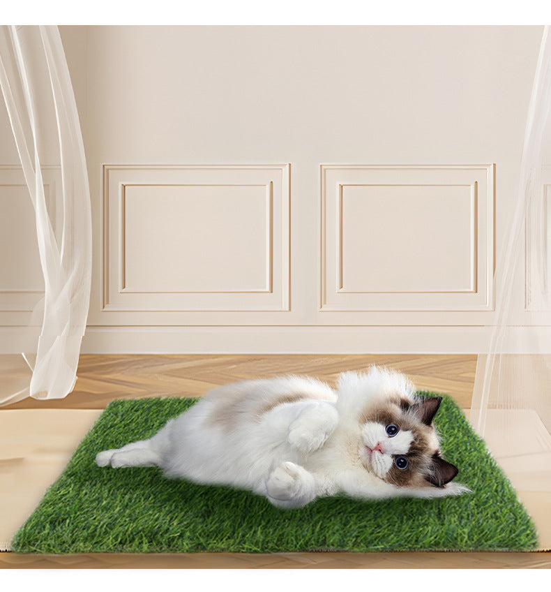 Pet Lawn Mat Dog Floor Mat Fixed Point