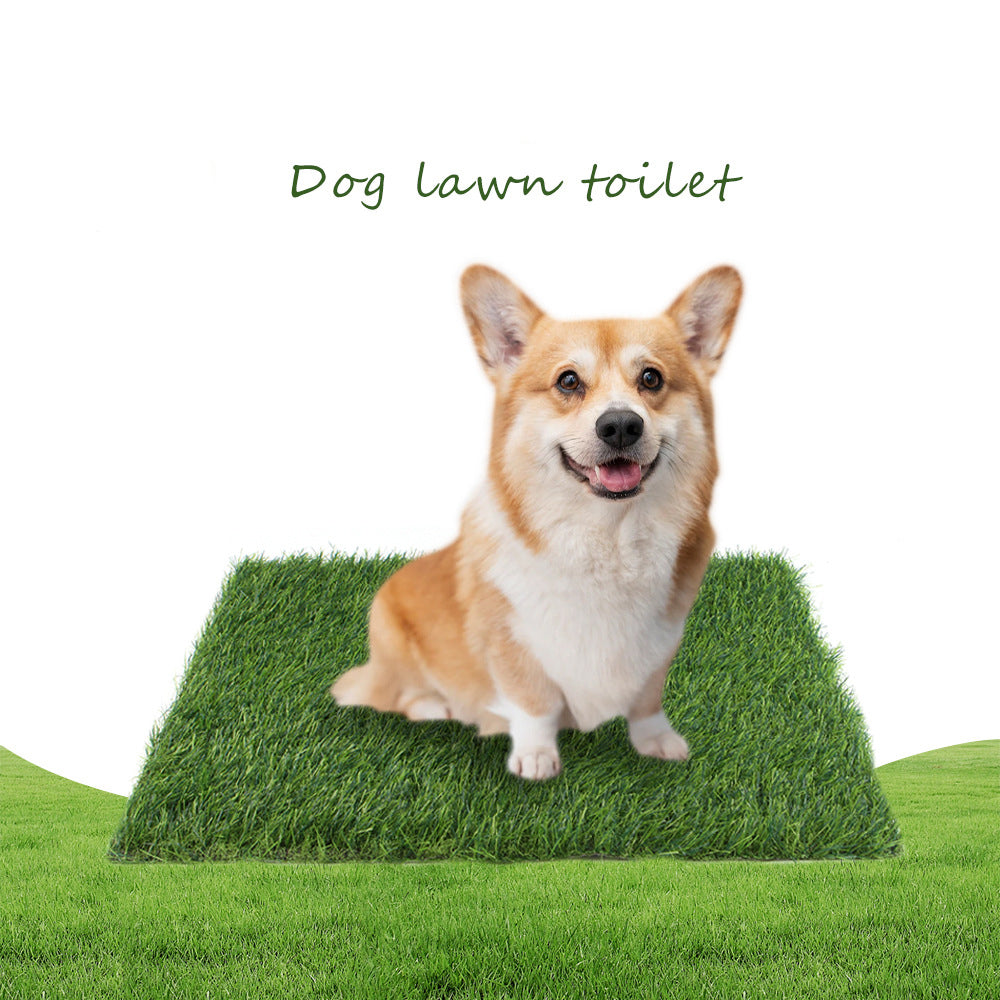Pet Lawn Mat Dog Floor Mat Fixed Point