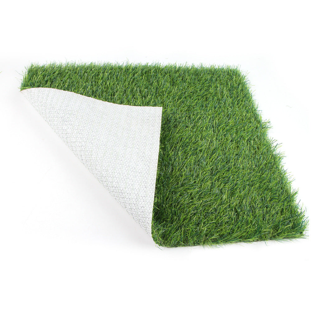 Pet Lawn Mat Dog Floor Mat Fixed Point