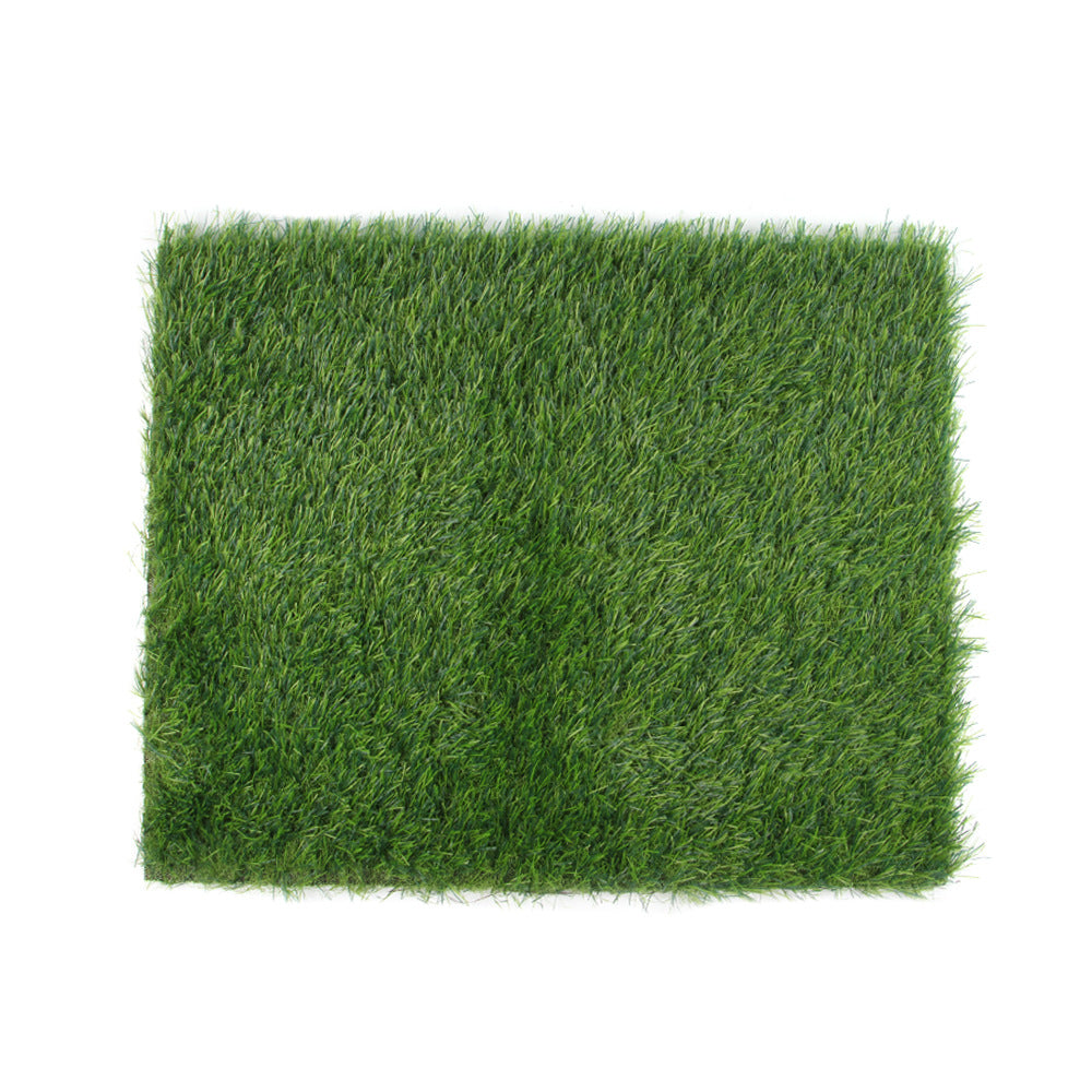 Pet Lawn Mat Dog Floor Mat Fixed Point
