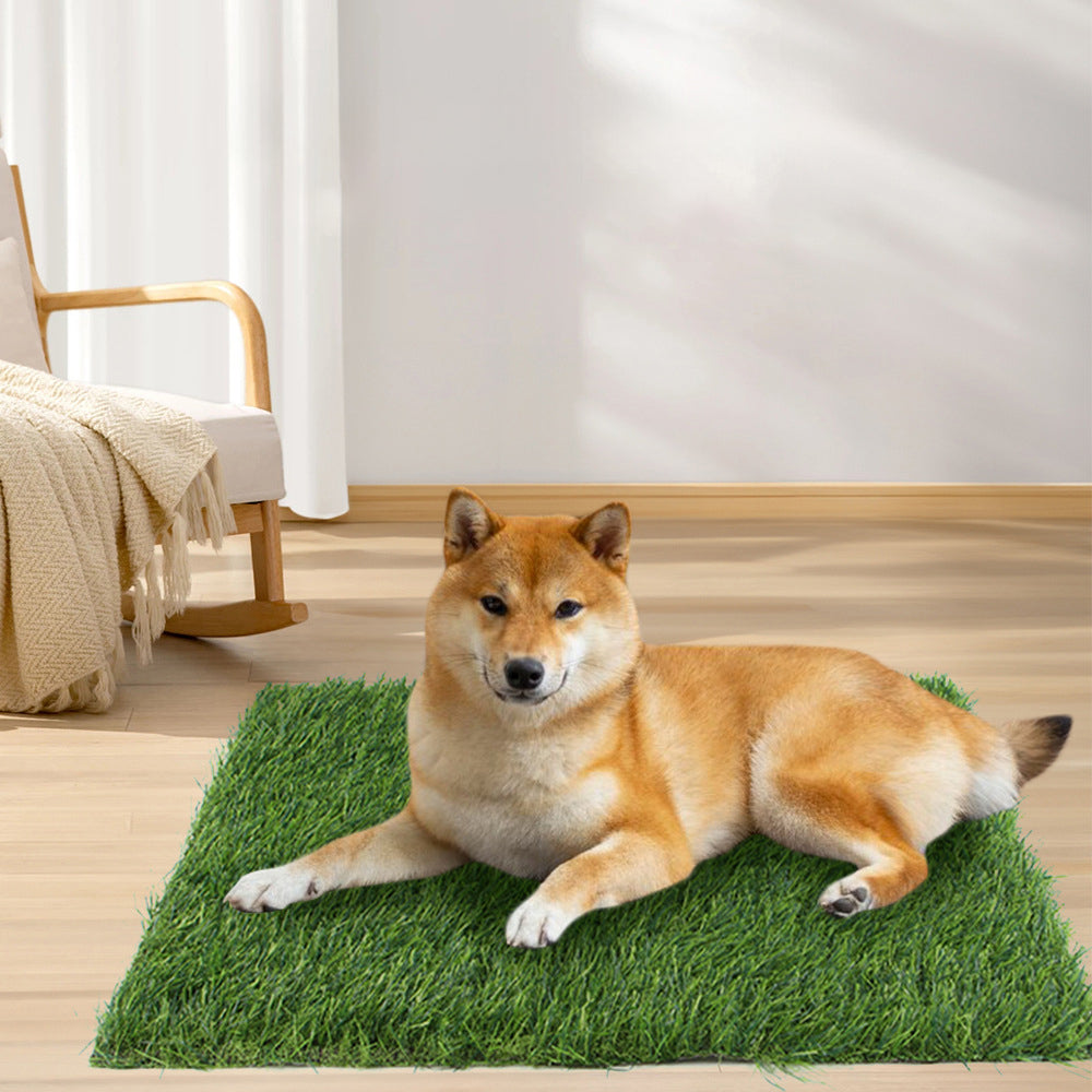 Pet Lawn Mat Dog Floor Mat Fixed Point