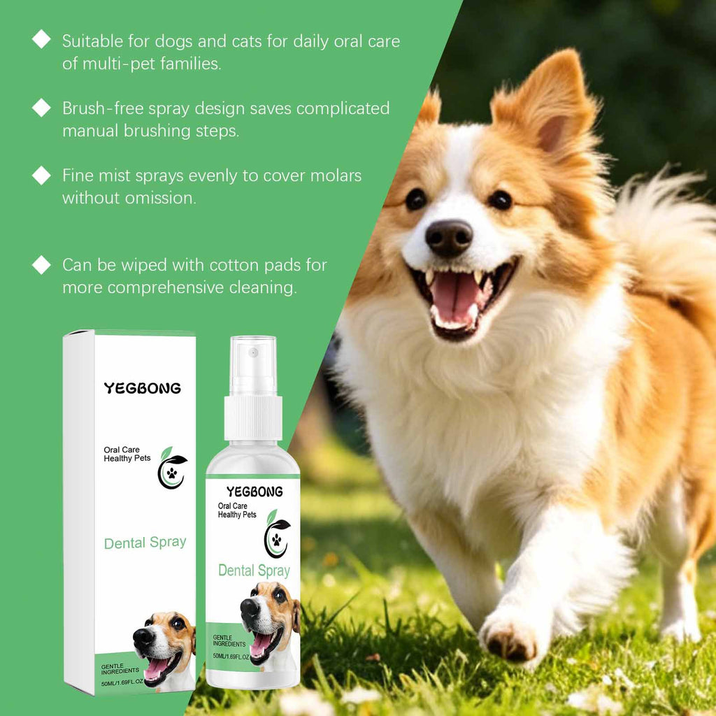 gentle pet oral care spraygentle pet oral care spray next to a happy dog outdoors, highlighting oral hygiene benefits.